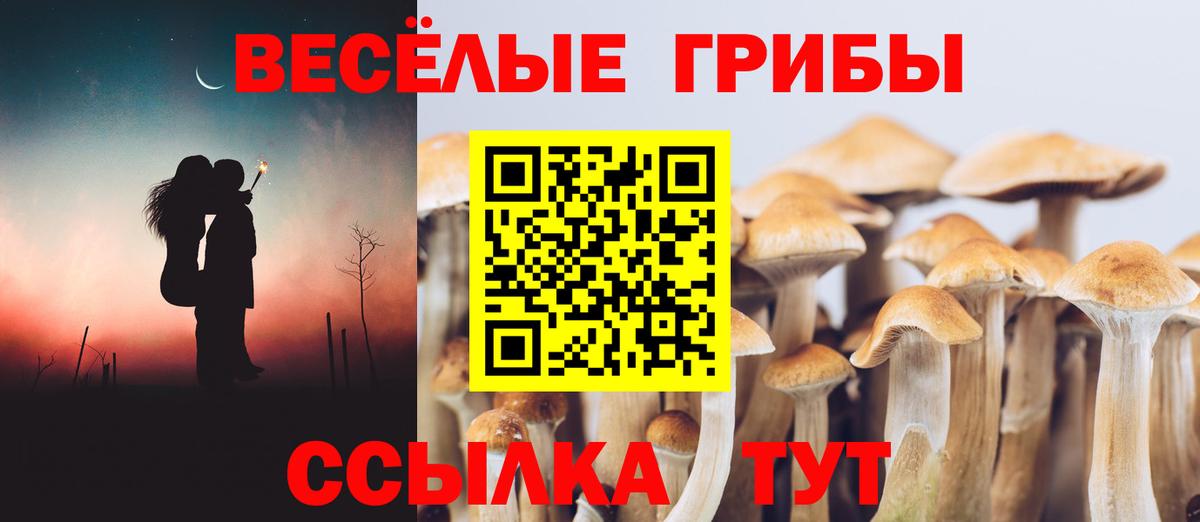 Псилоцибиновые грибы прущие грибы Обнинск